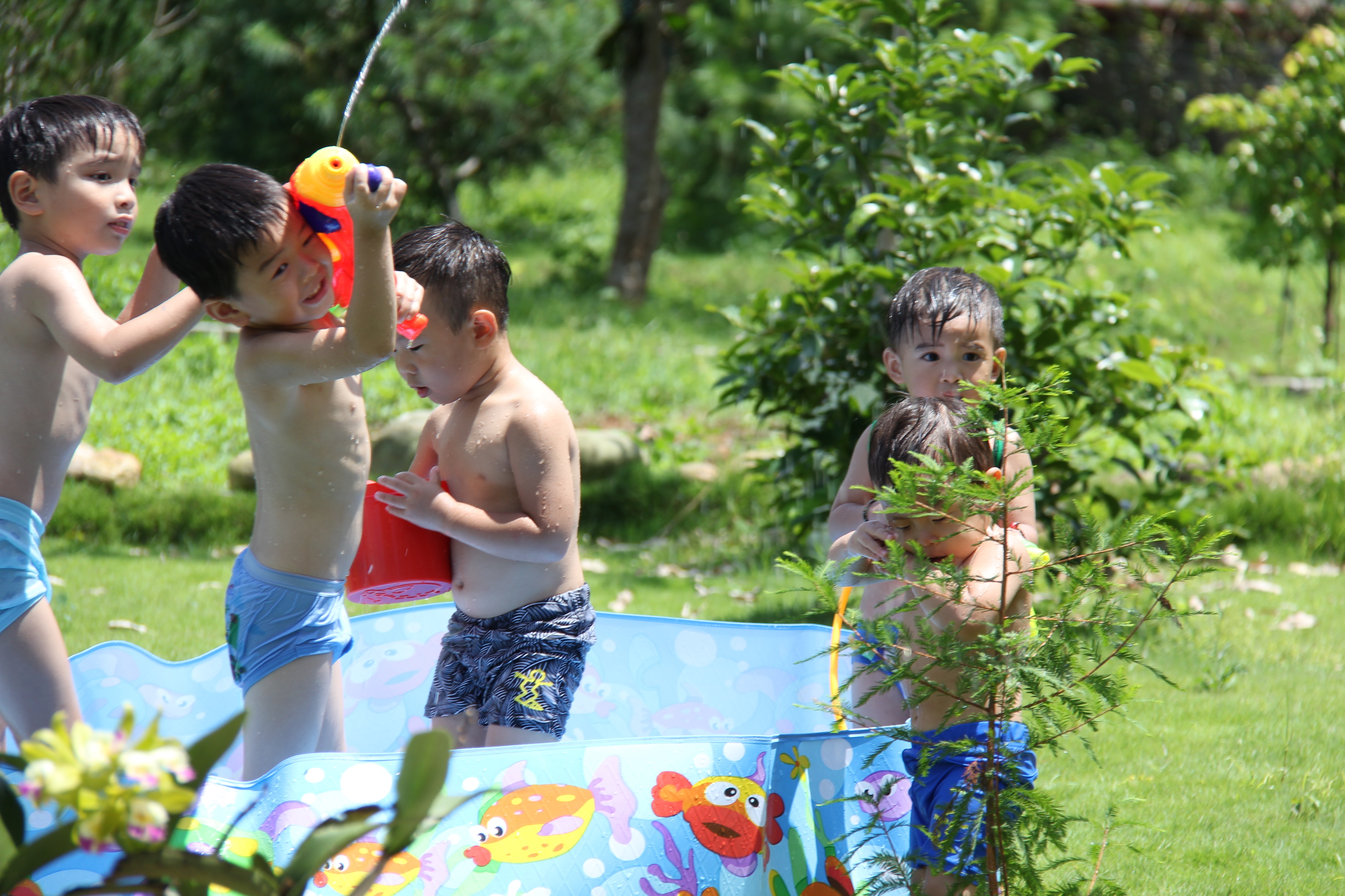 草皮區
夏天小孩玩水