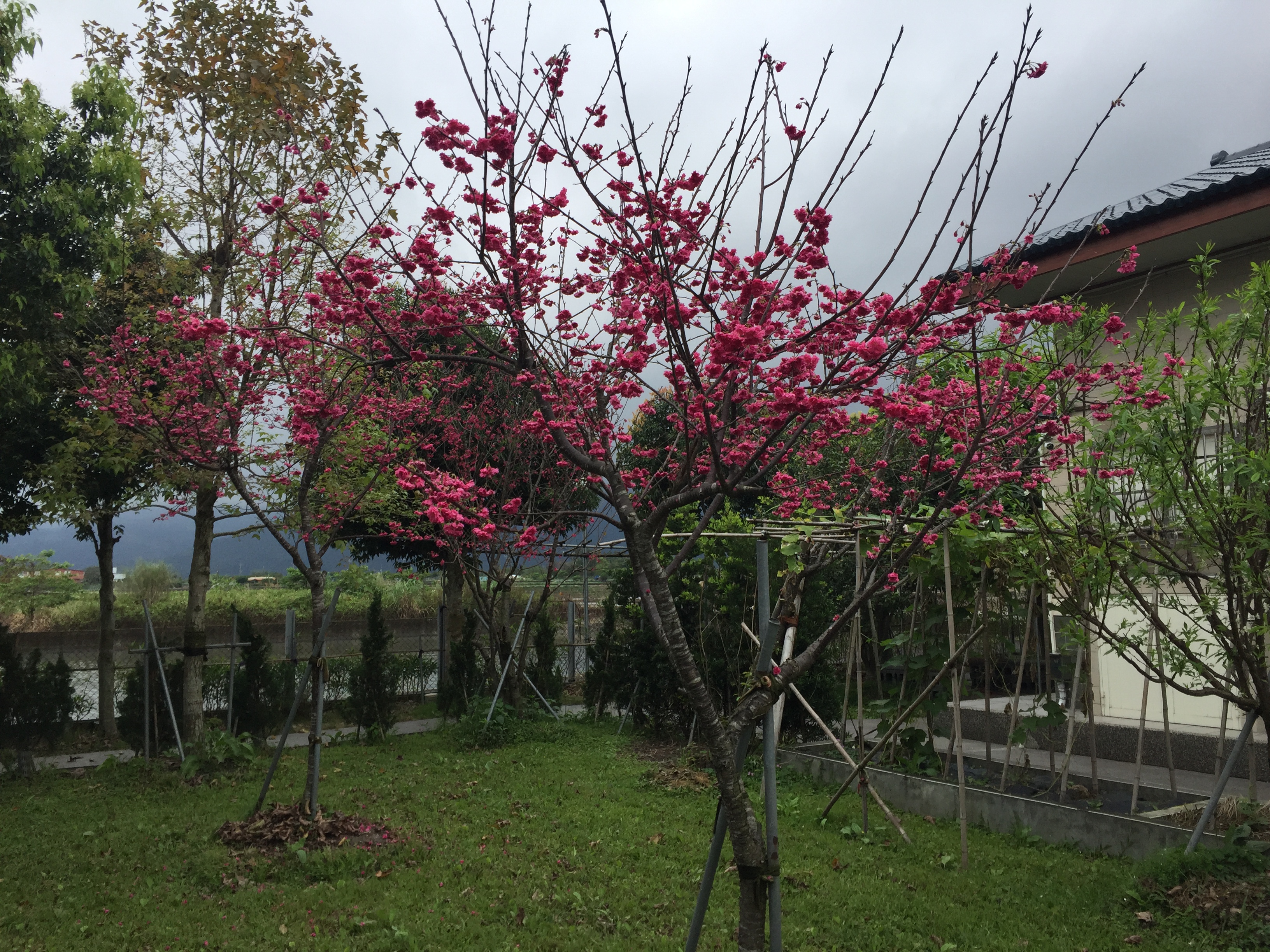 日光田居二館民宿-3