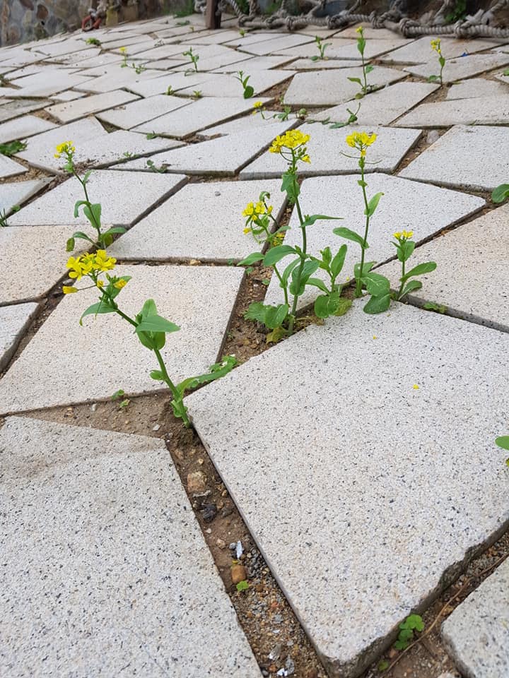 海老屋迎賓入口處