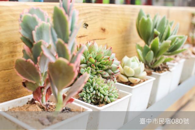 踢生活背包客棧-34