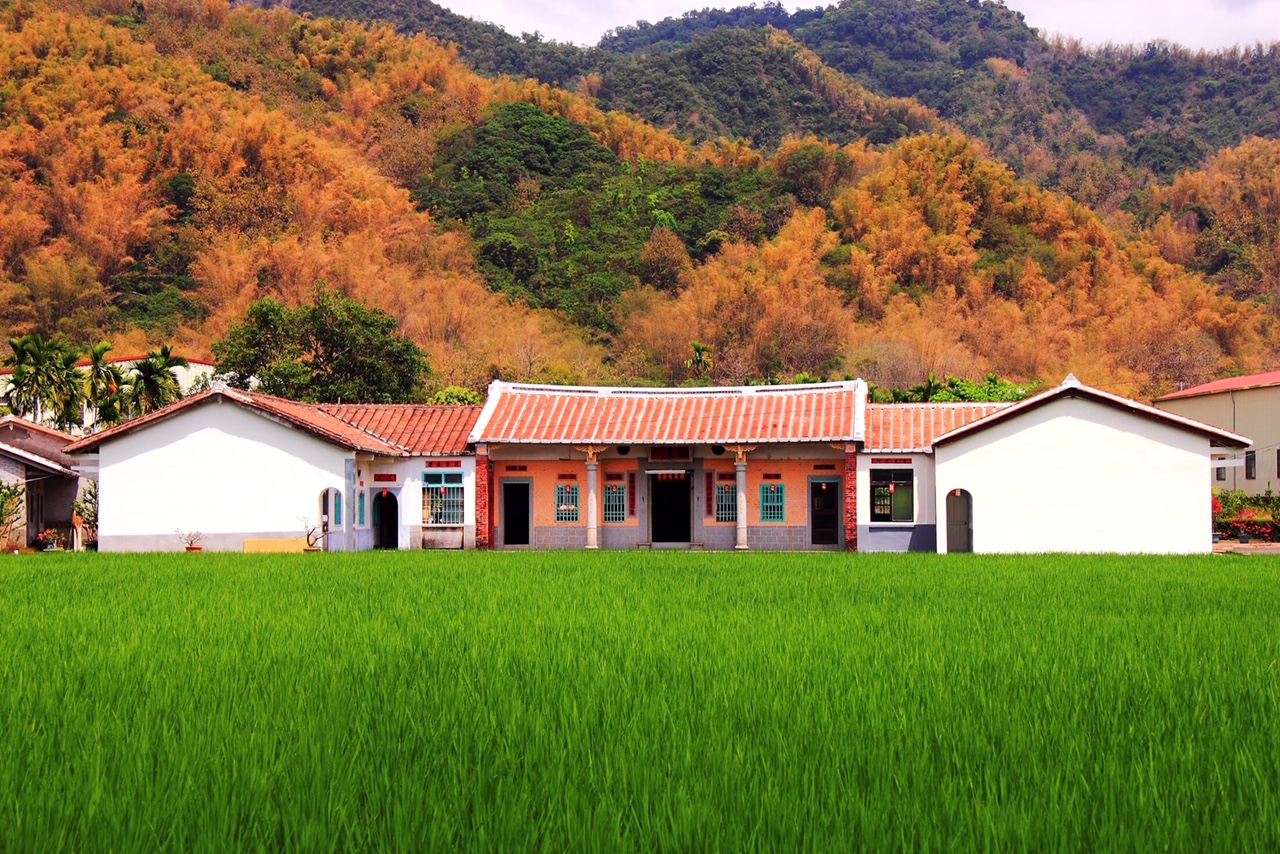 香蕉與黑膠三合院-3