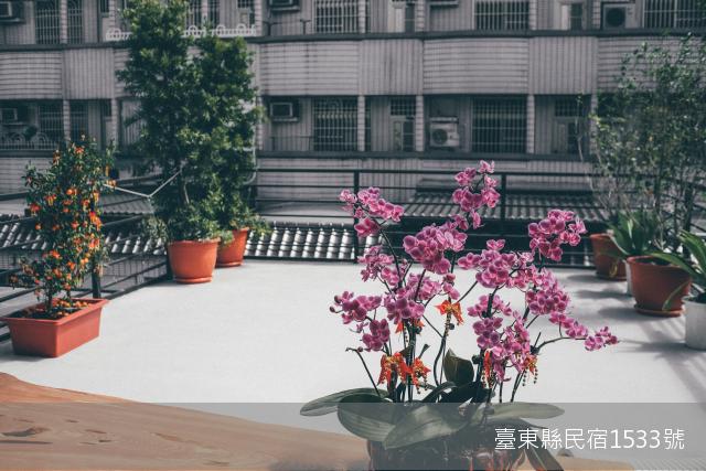 浪居Lounge Away民宿-6