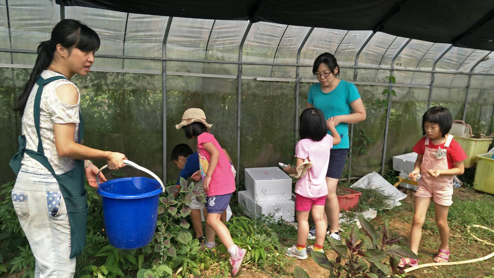 虹橋民宿,生態營超好玩~~~