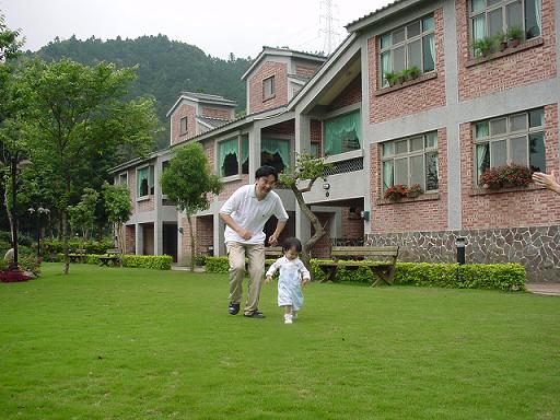 綠草地-1