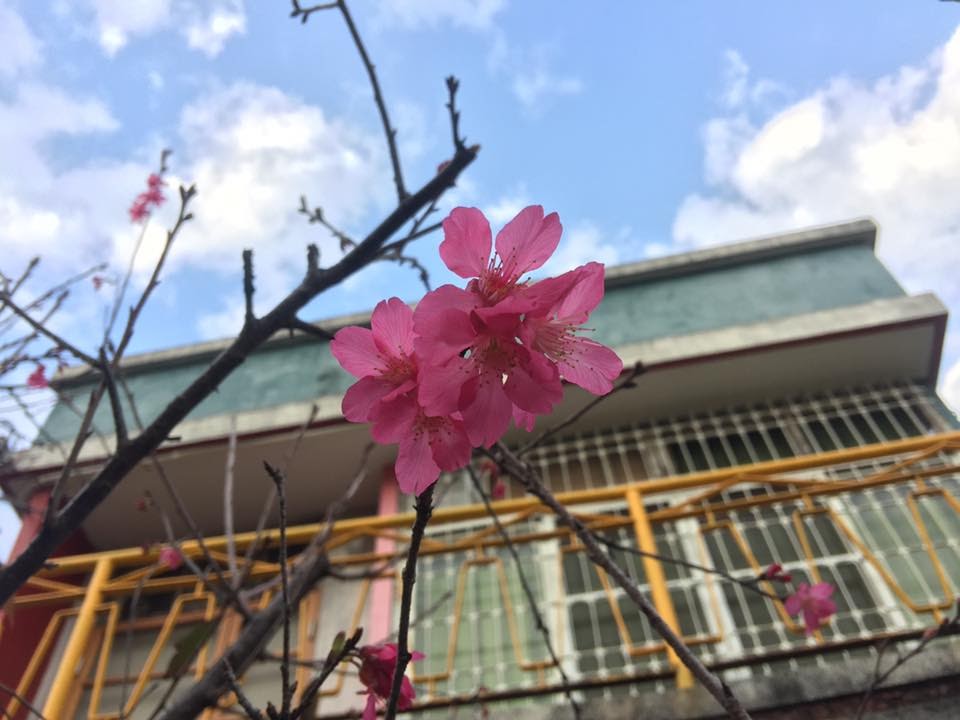 大圳屋-7