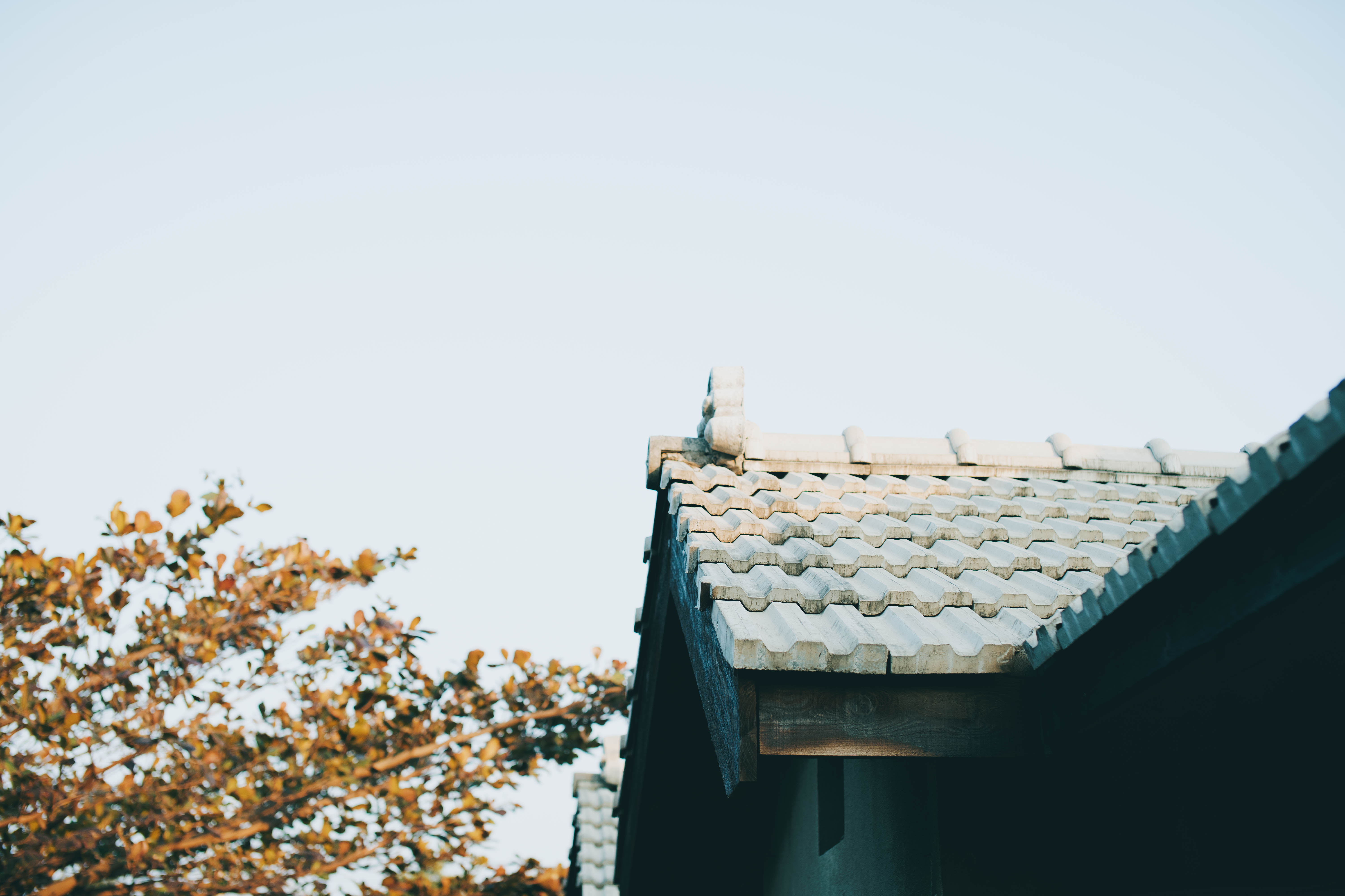 軍旅舍．四十一-10