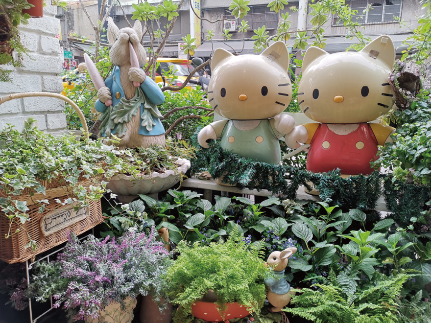 橙舍背包客國際青年旅館-2