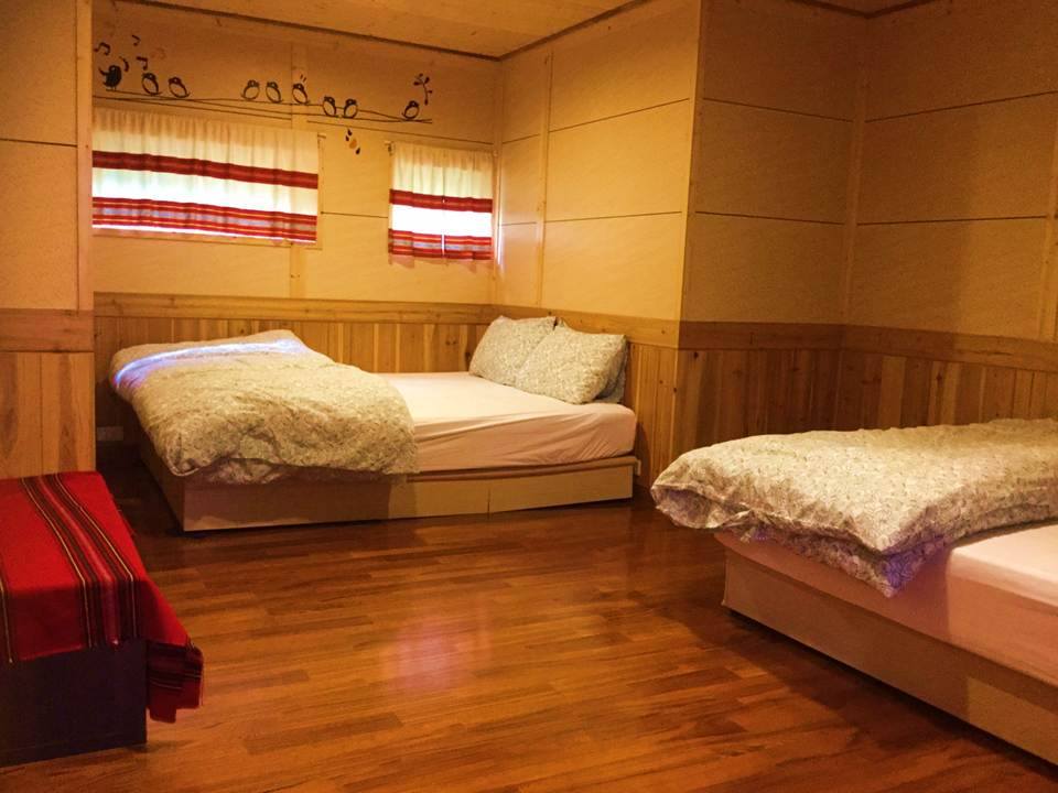 盟約杉林-18