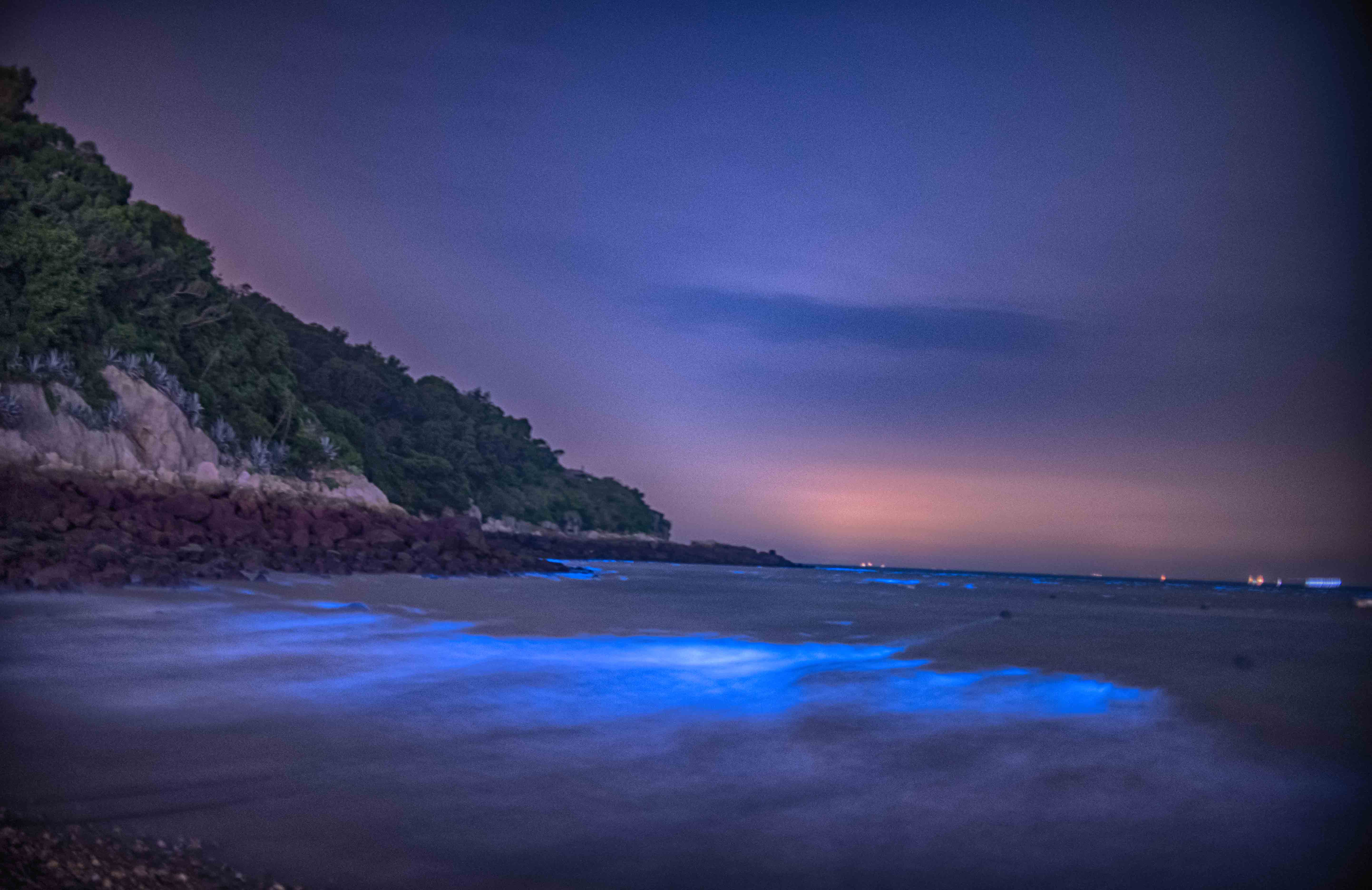 星海芝家-5
